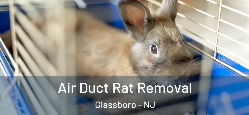  Air Duct Rat Removal Glassboro - NJ