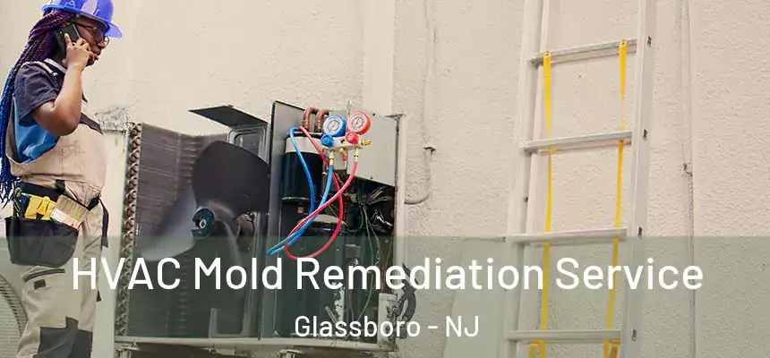  HVAC Mold Remediation Service Glassboro - NJ
