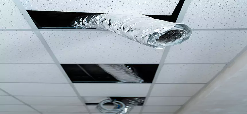 Our Air Duct Pet Hair Removal Services in Glassboro, NJ