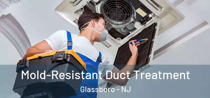  Mold-Resistant Duct Treatment Glassboro - NJ