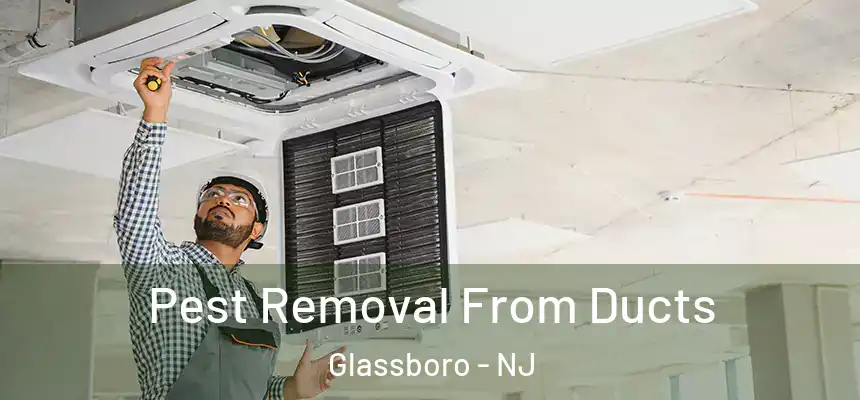  Pest Removal From Ducts Glassboro - NJ