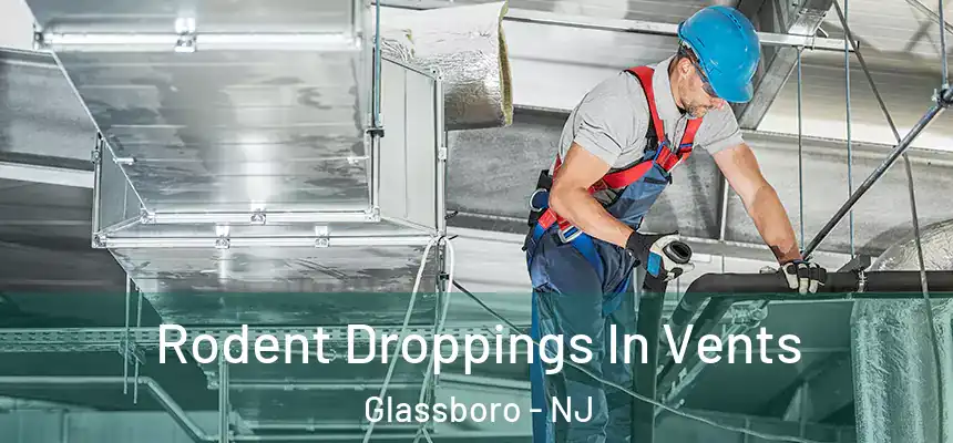 Rodent Droppings In Vents Glassboro - NJ