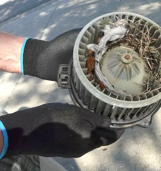 About Air Duct Mice Removal in Glassboro, NJ