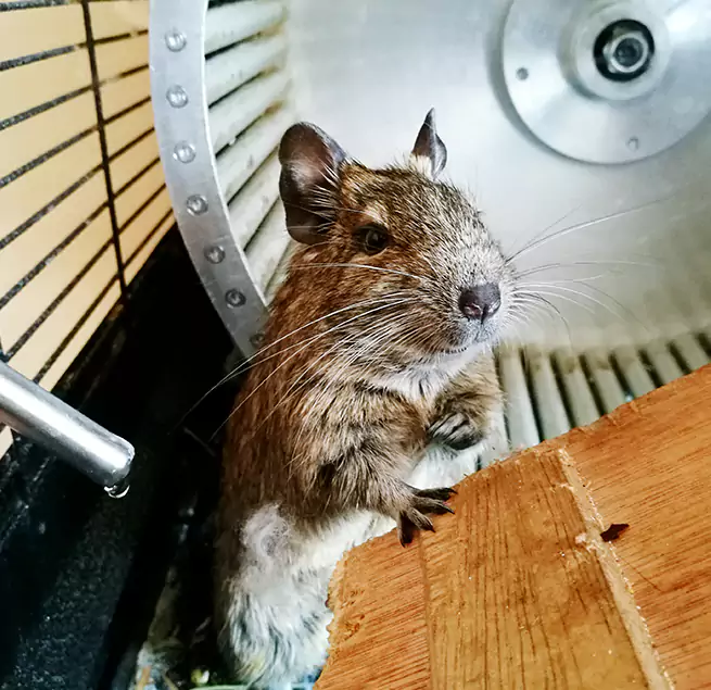 Why Homeowners & Businesses Trust Us Glassboro, NJ